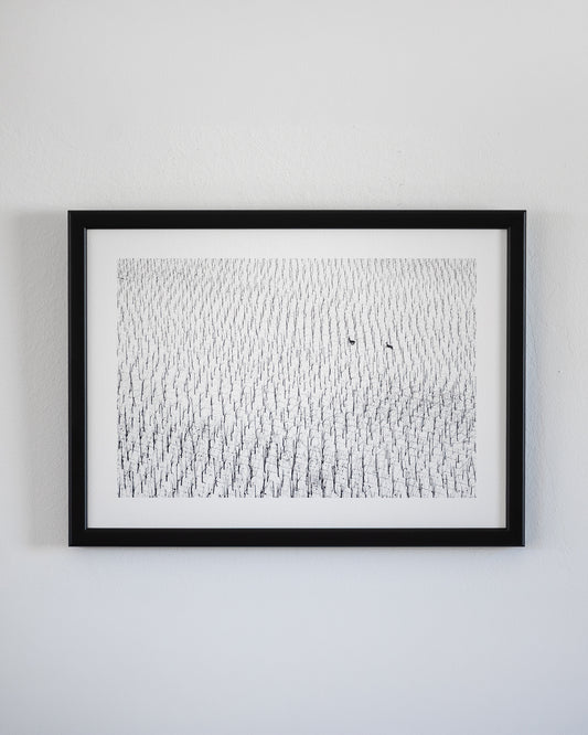 Run · Limited Edition