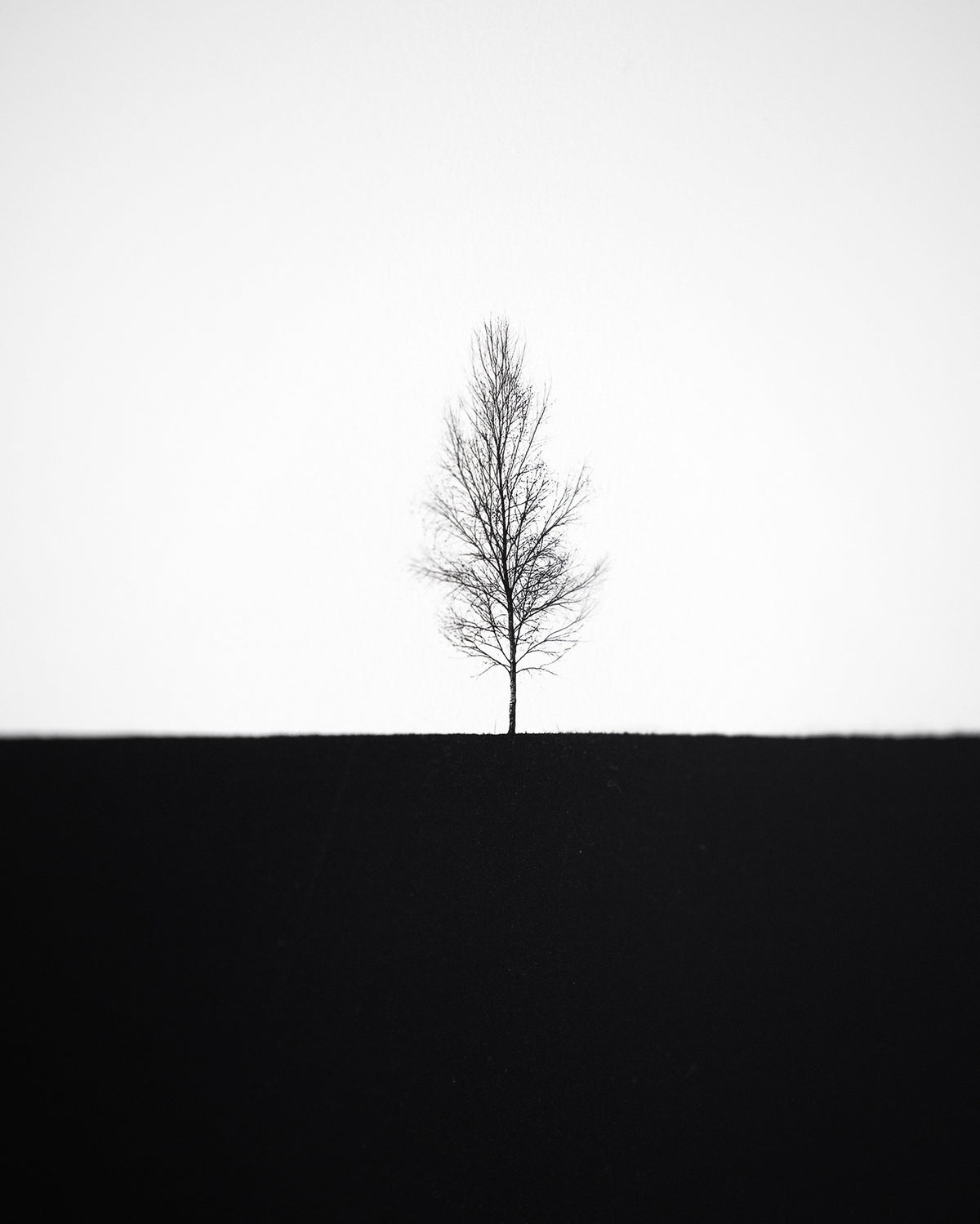 Minimalizem · Umetniški tisk na plošči