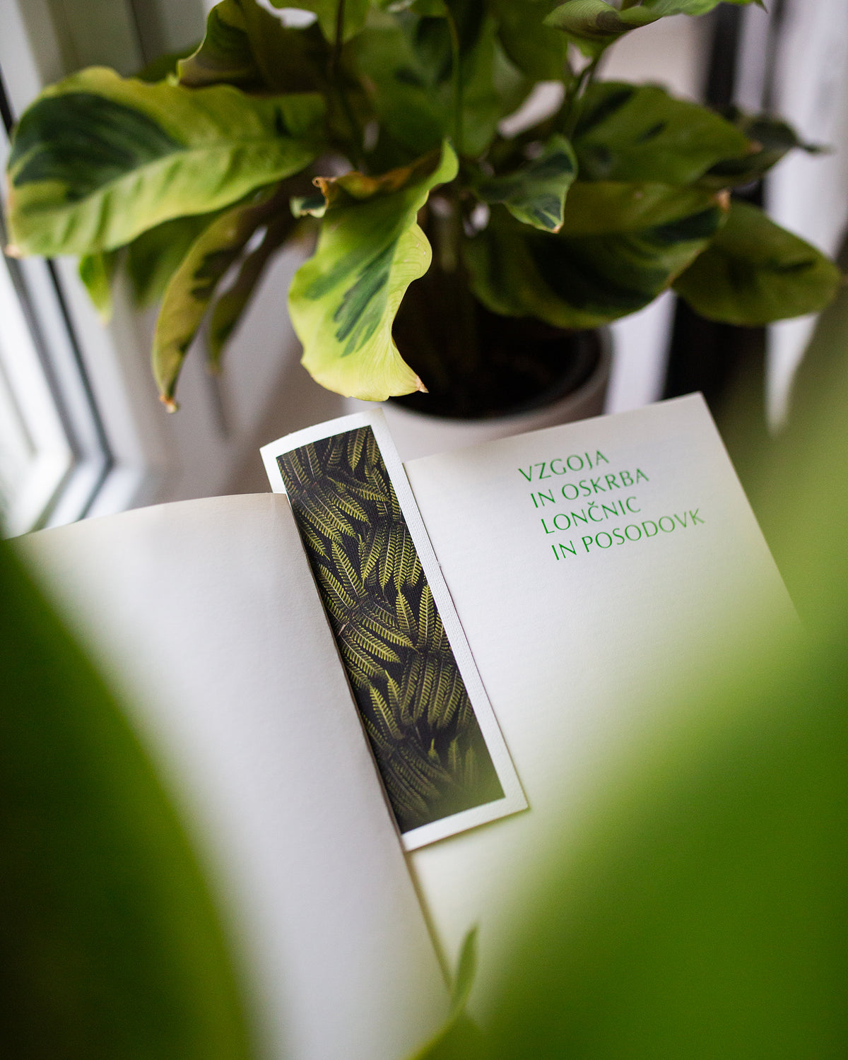 Fine Art Bookmarks