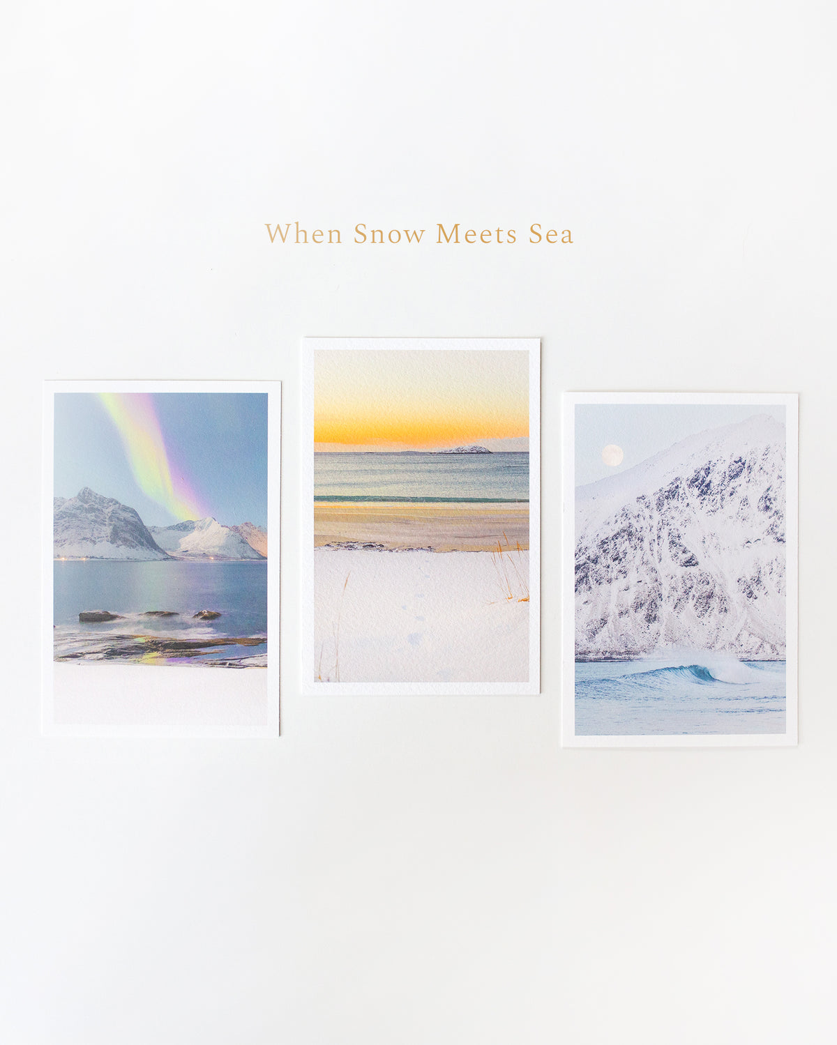 Fine Art Cards · Winter edition