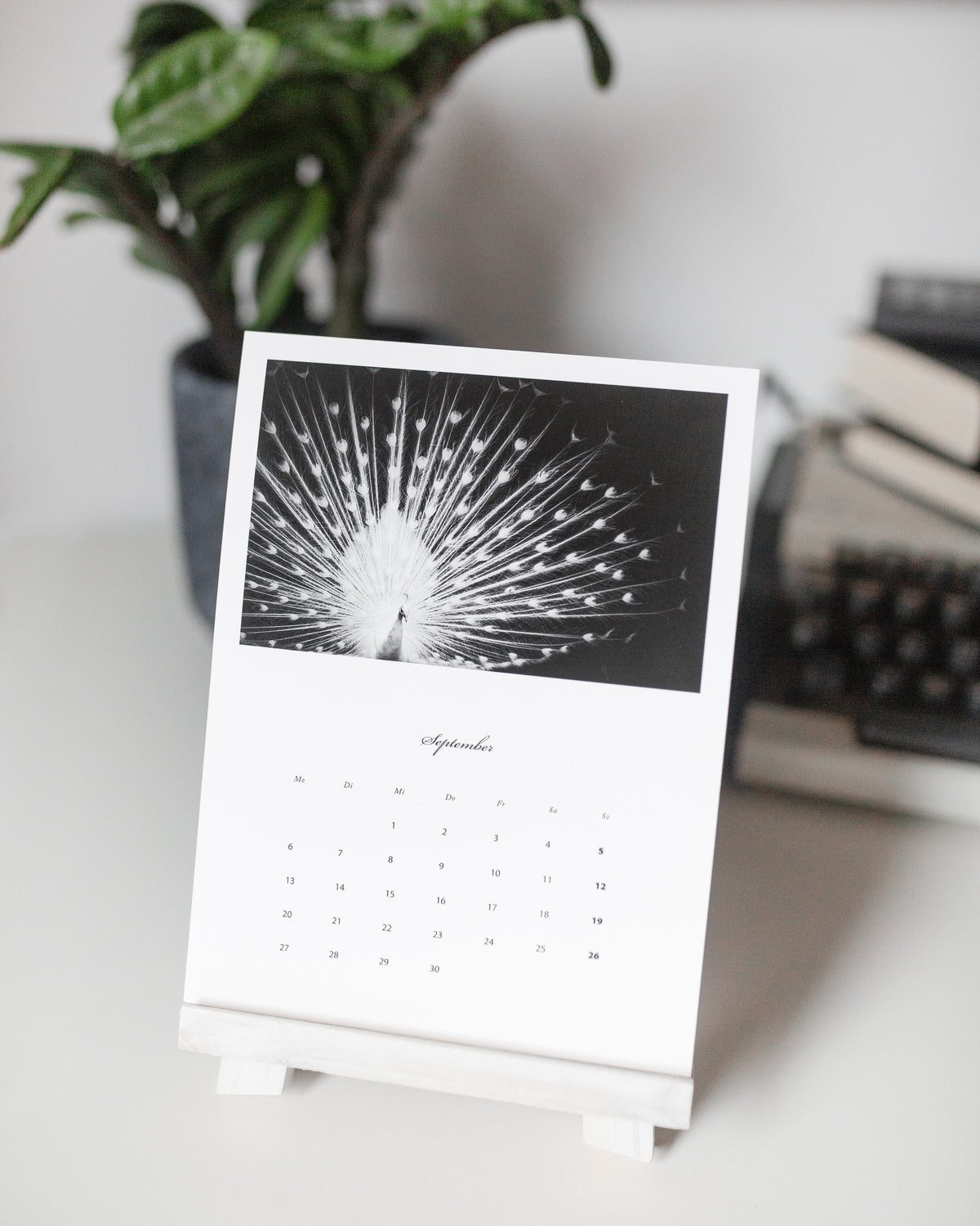 12 Fine Art Prints · 2027 Desk Calendar [Preorder]