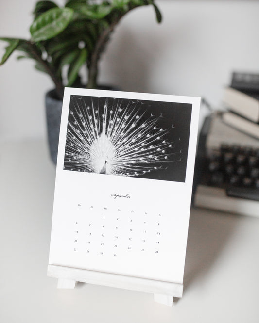 12 Fine Art Prints · 2027 Desk Calendar [Preorder]