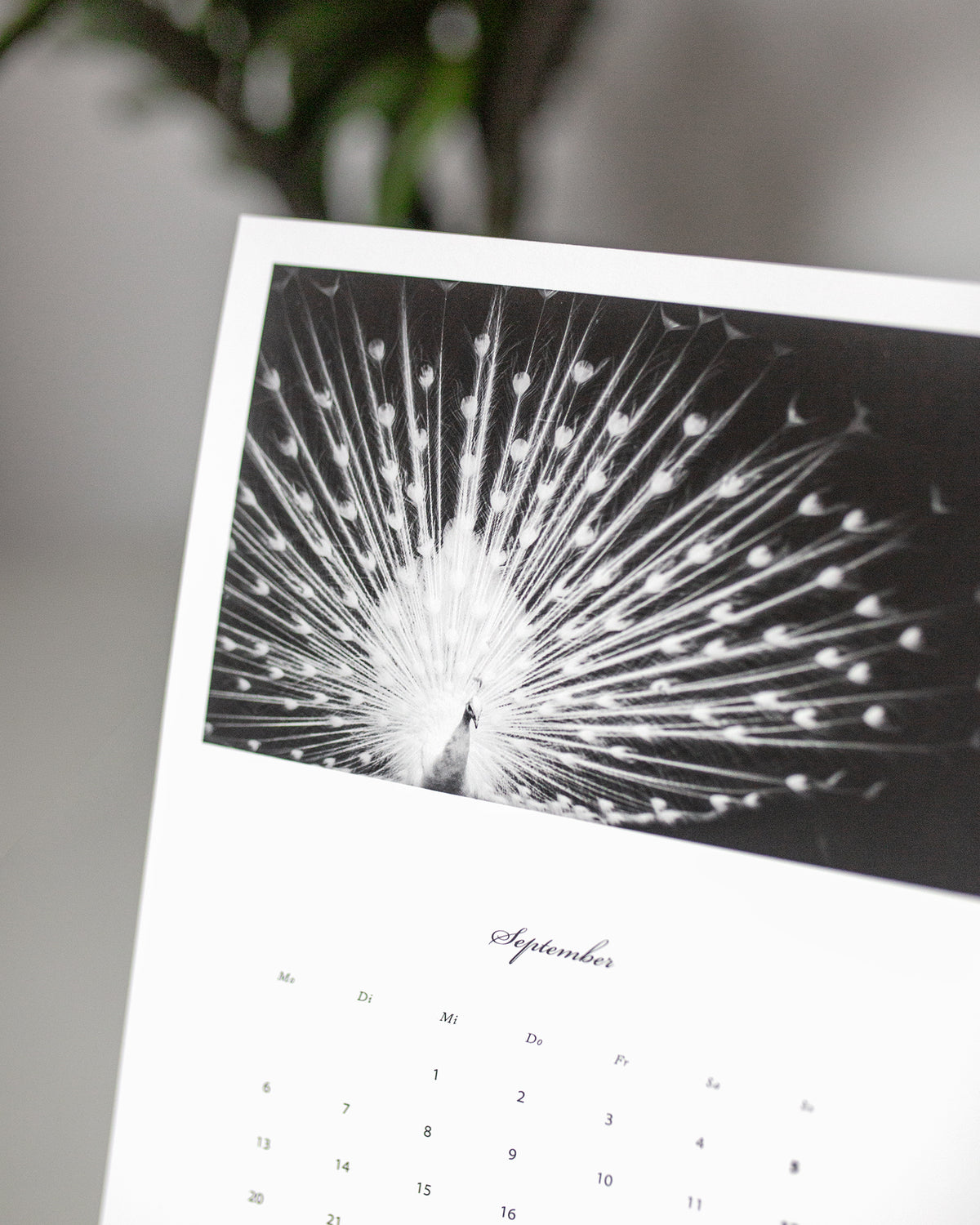 12 Fine Art Prints · 2027 Desk Calendar [Preorder]