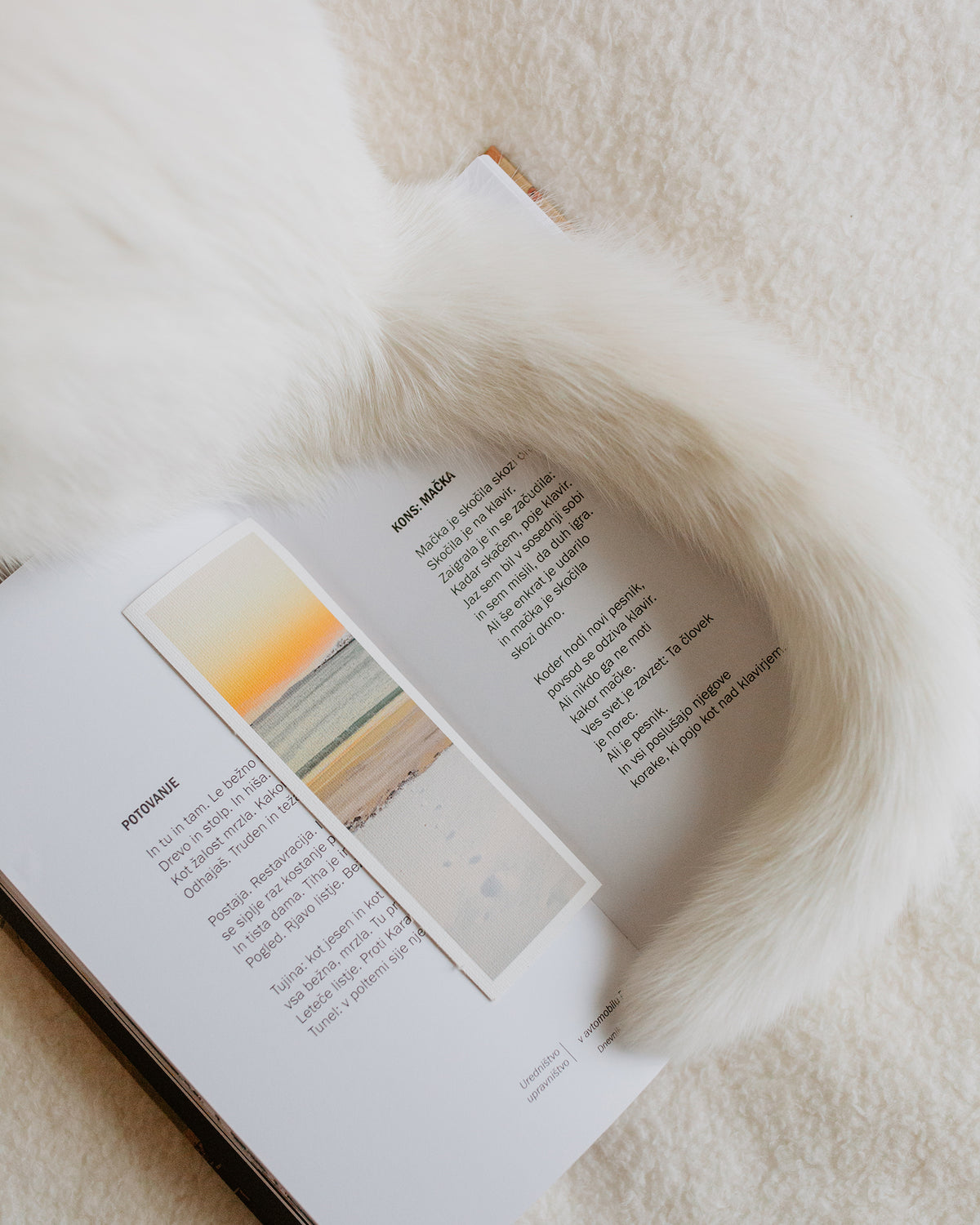 Fine Art Bookmarks